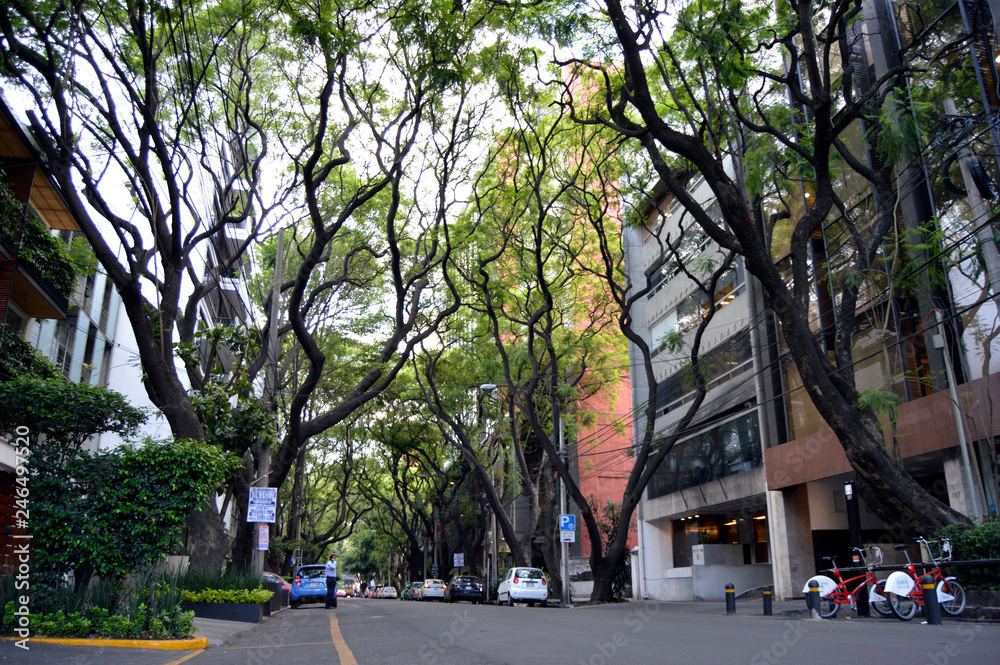 joven buscando cómo rentar un departamento sin aval en Ciudad de México